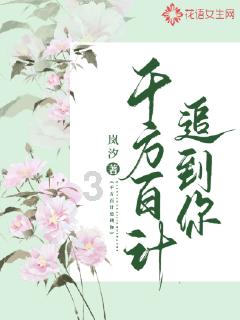 小猫钓鱼正版下载中文版