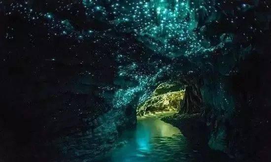 救援受困的鹭