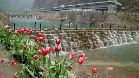 美人鱼生日会