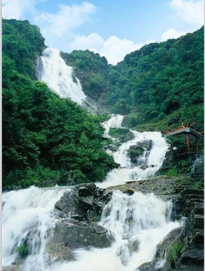 迪马济奥：莱斯特城50万欧租借+有条件买断森西